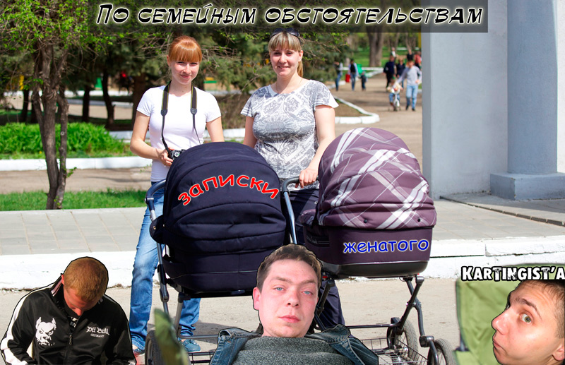 Записки женатого картингиста